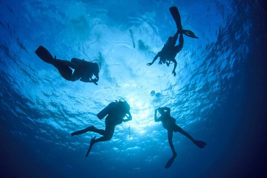 Scuba Diving In Fujairah Image