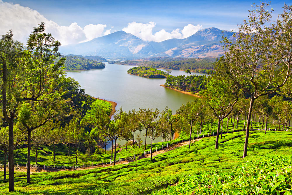 Munnar Thekkady Tour Package from Bangalore