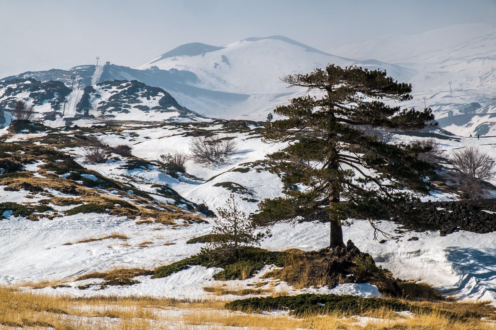 mount etna Snow.jpg