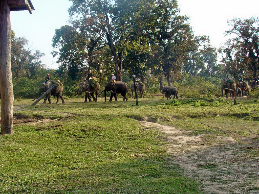 Chitwan National Park Overview