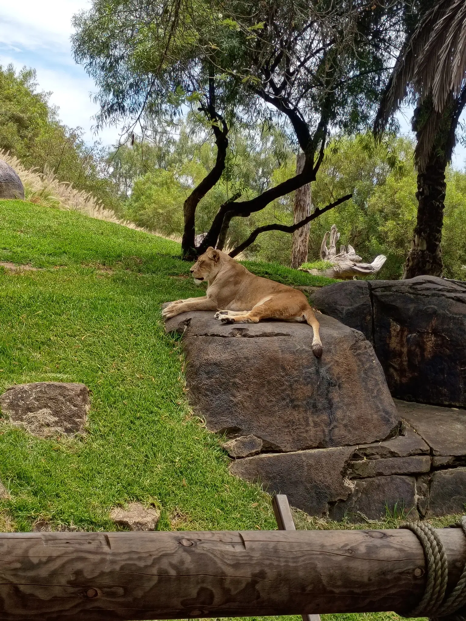 Photo from Artie Smith's trip