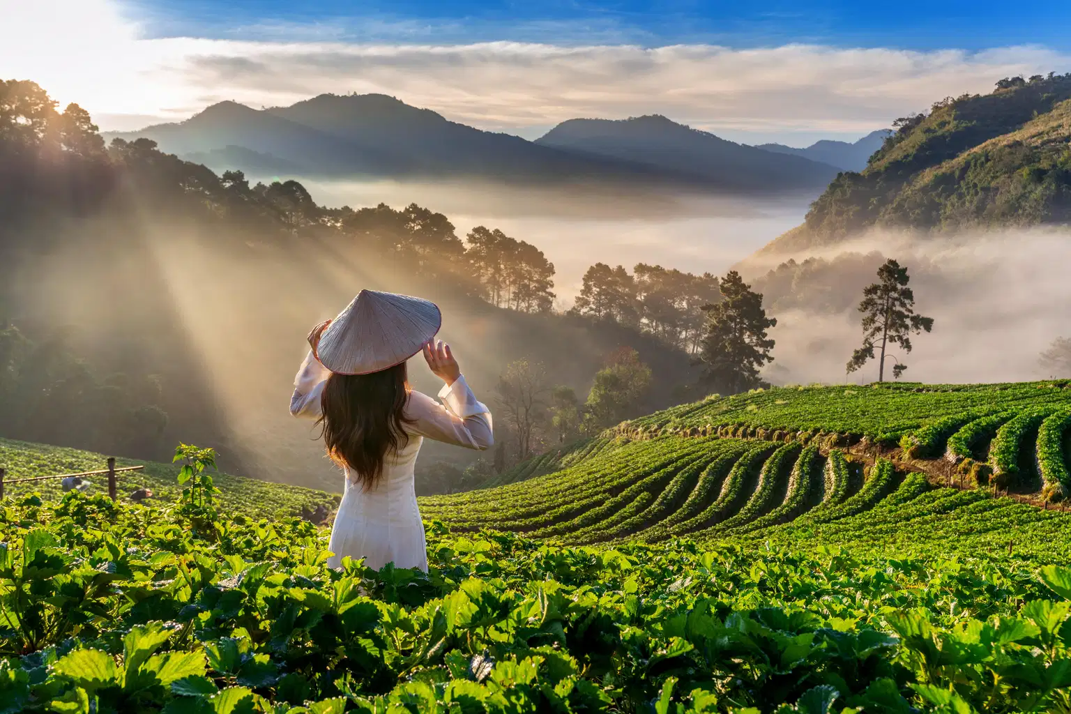 EXCLUSIVE Vietnam with Fansipan Mountain Trek & Cave Excursion