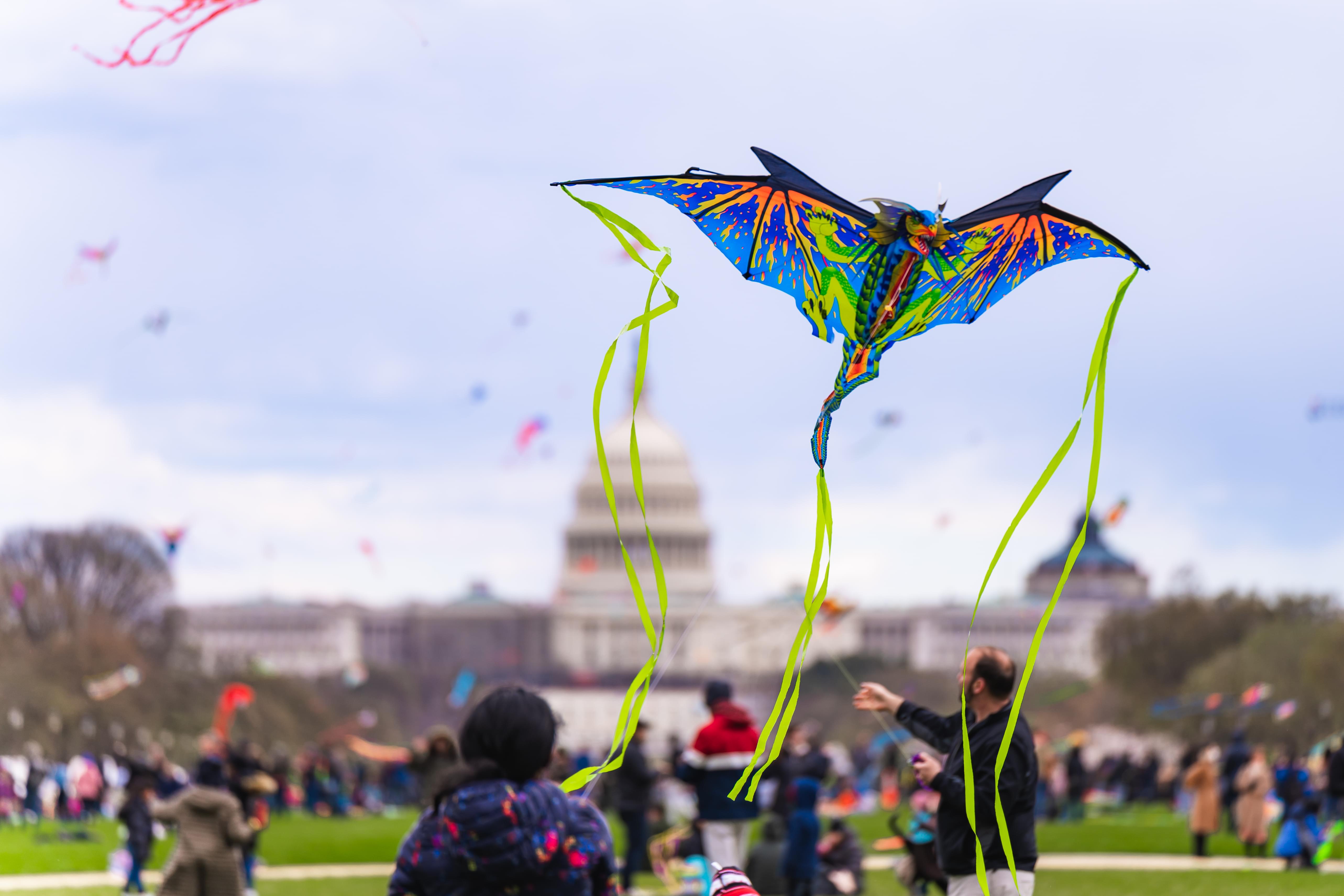 Washington D.C. Tour Packages | Upto 40% Off