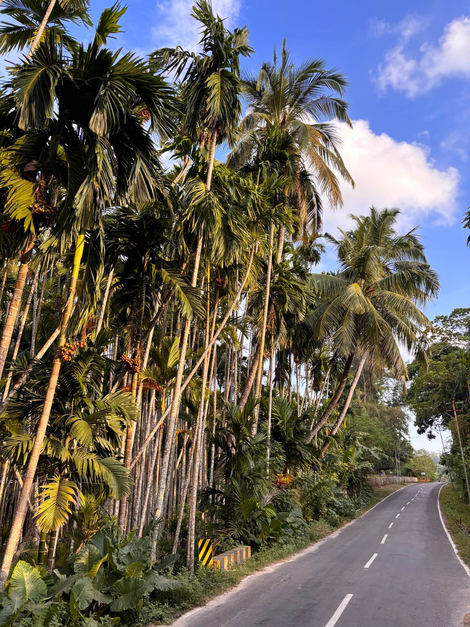 Photo from Priyanshu Banerjee's trip