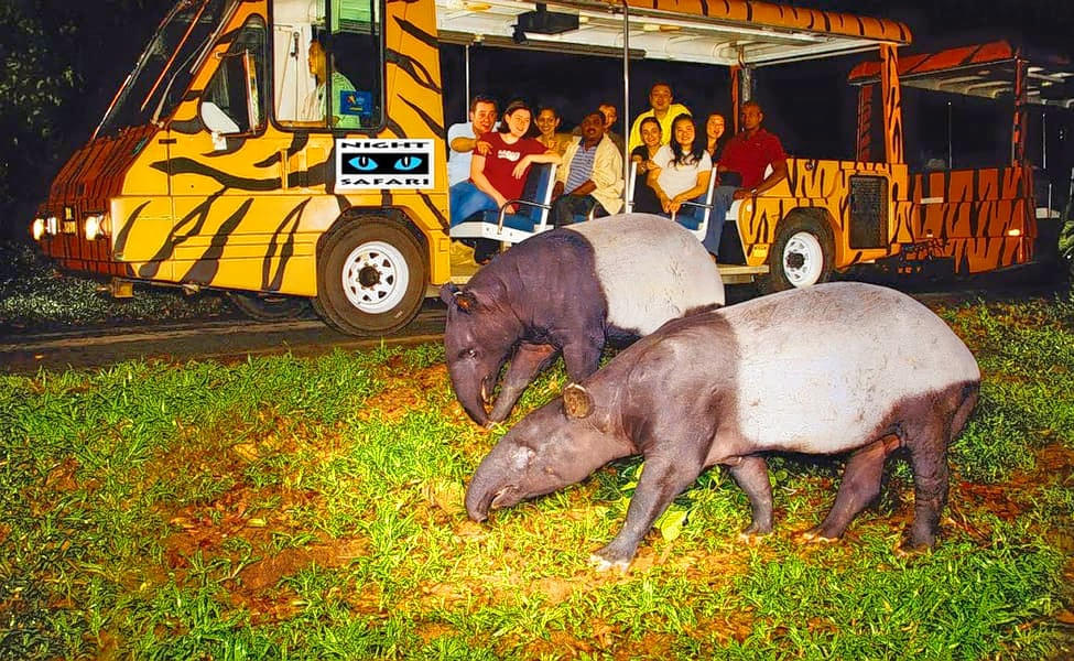 Singapore Zoo & Singapore Night Safari Tickets Combo Image