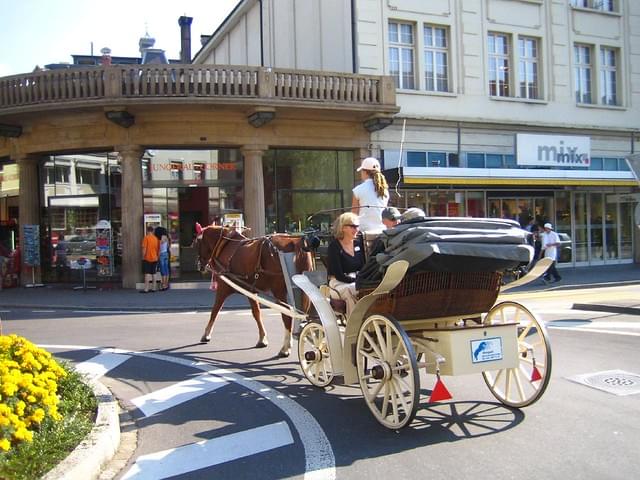 Horse-Drawn Carriage Rides