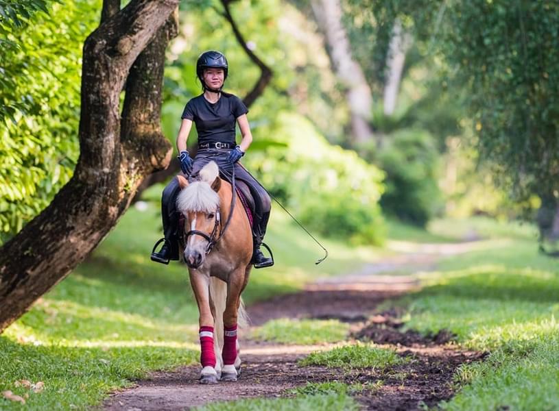 Gear up for the amazing horse riding activity with your friends