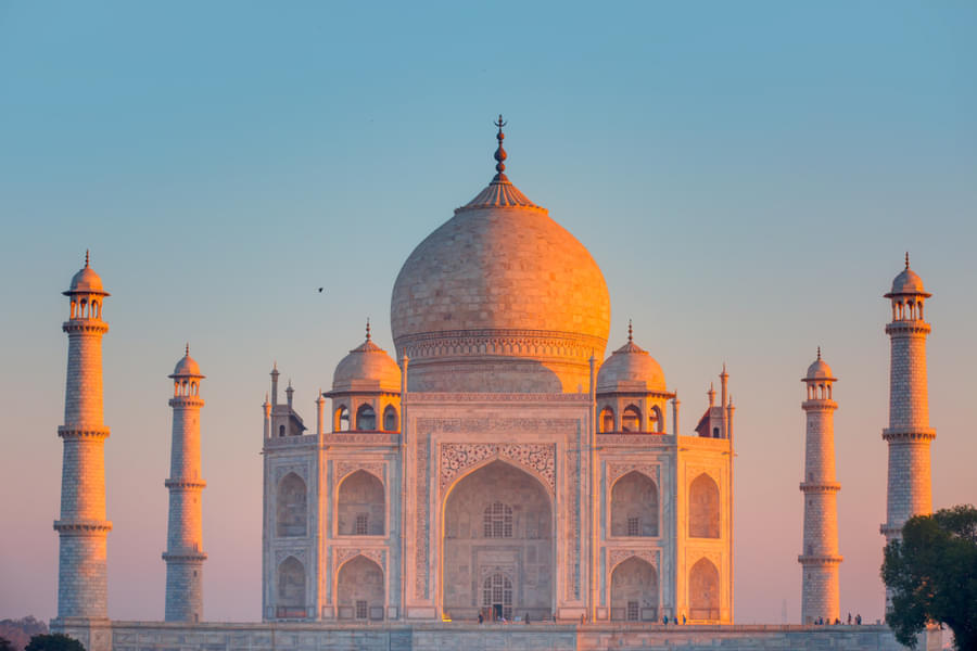 Taj Mahal Entry Ticket Image