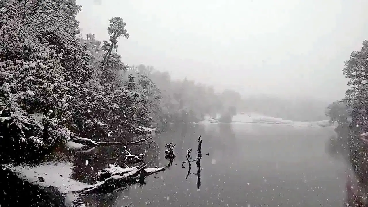 Photo from Ashlesh Varrier's trip
