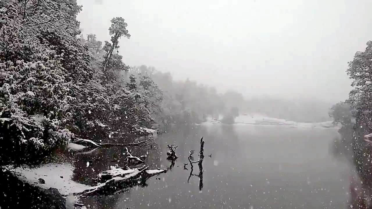 Photo from Ashlesh Varrier's trip