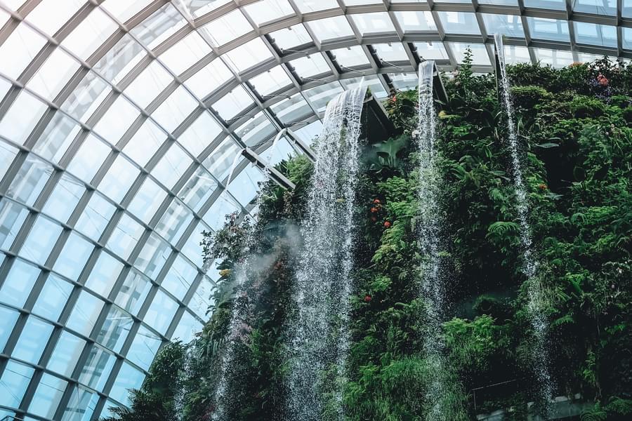 Cloud Forest Singapore
