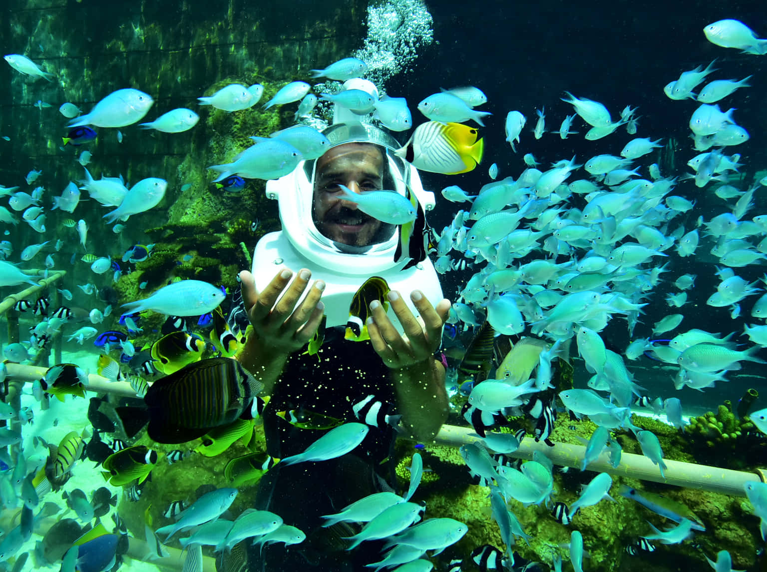 Sea Walking in Nusa Dua