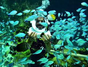 Sea Walking in Nusa Dua