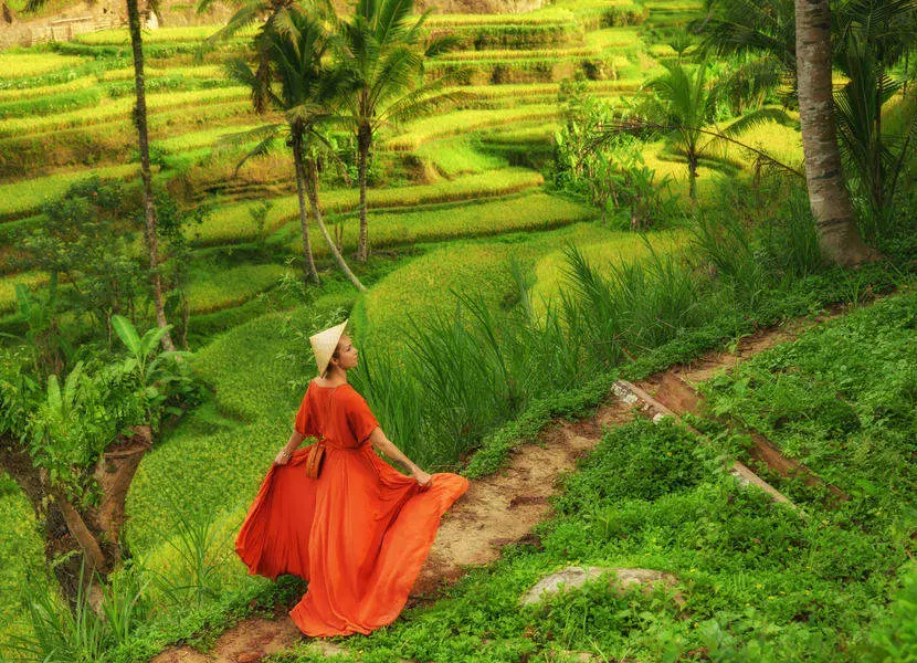 Sightsee Tegalalang rice field