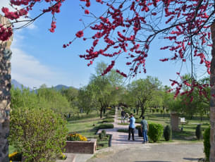 Badamwari Park