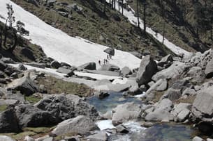 53w4jv3h7our6nra196y4h7vyy1z shutterstock 2145887179