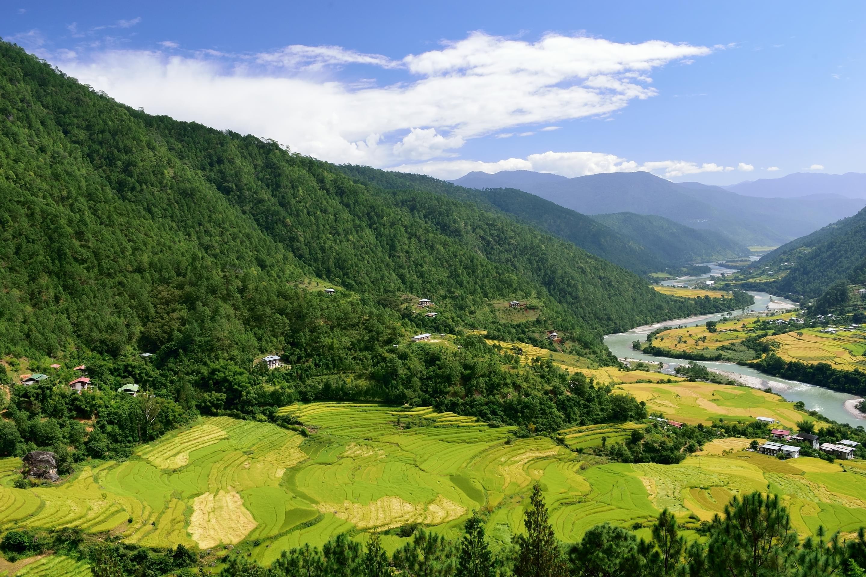 Mo Chhu River Overview