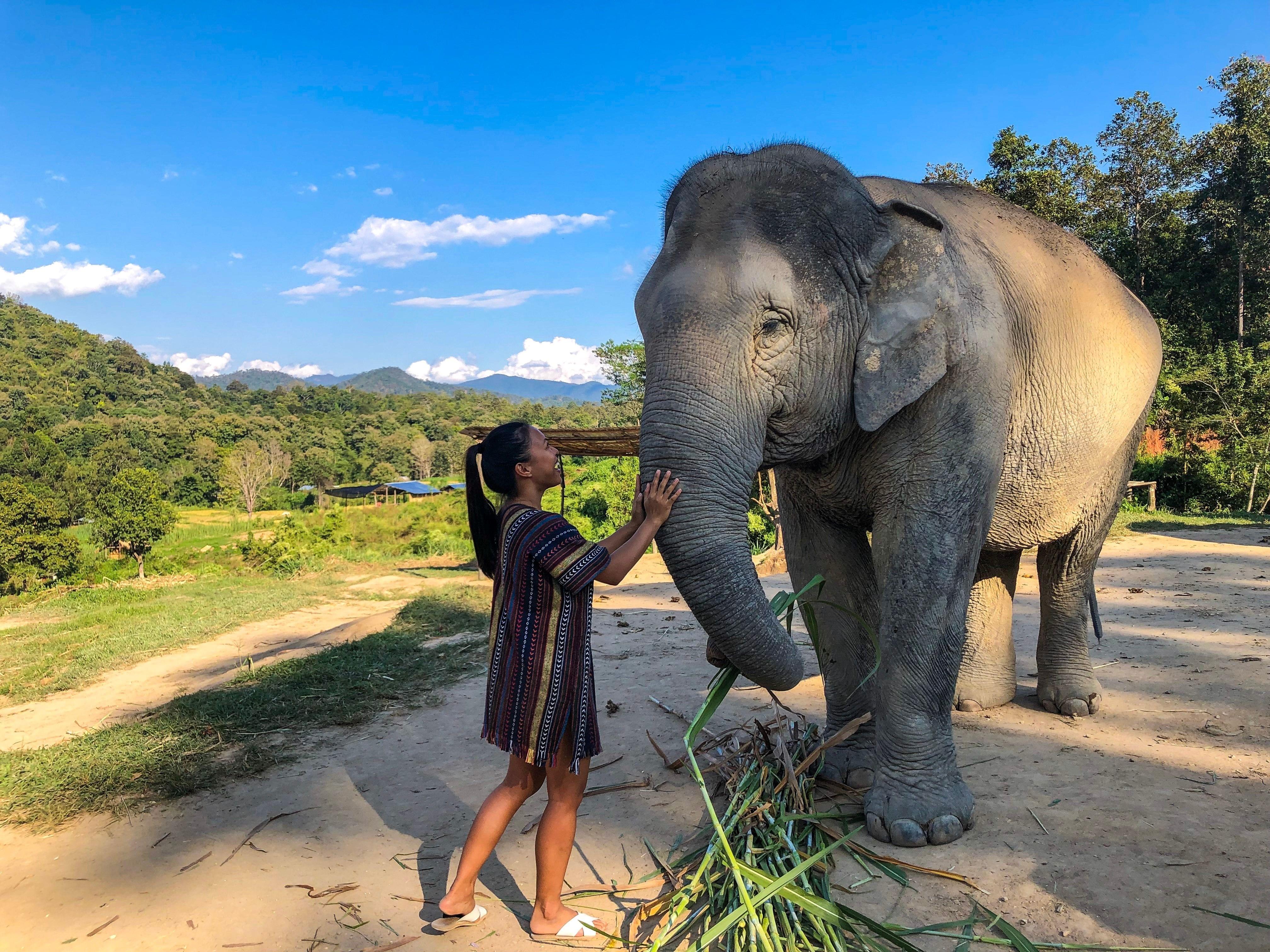 Things to do in Chiang Mai with kids