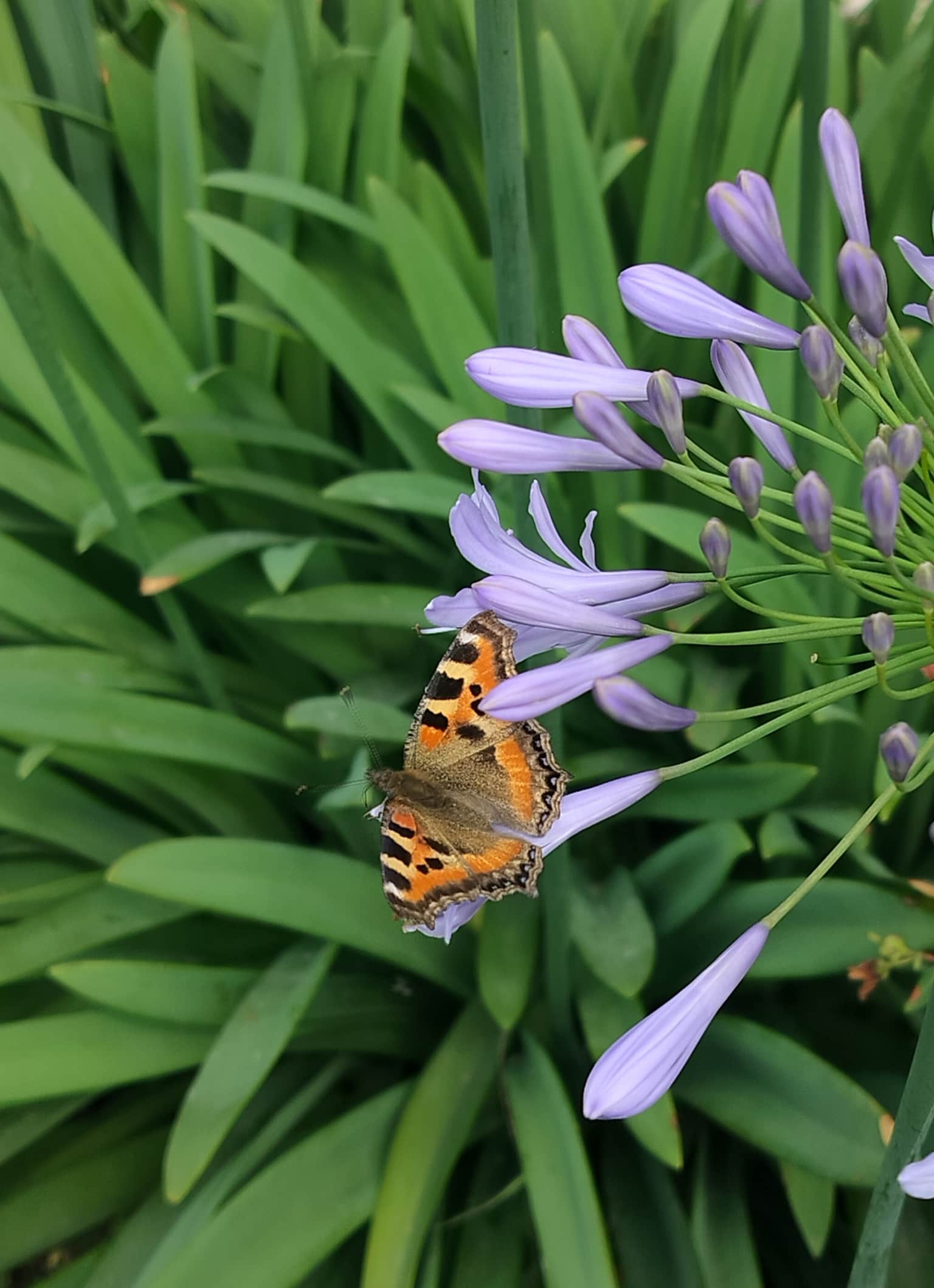 Photo from Jyoti sharma's trip