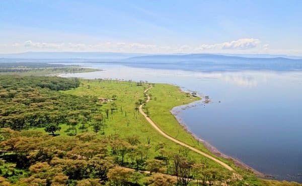 Maasai Mara And Lake Nakuru Tour In Kenya Image