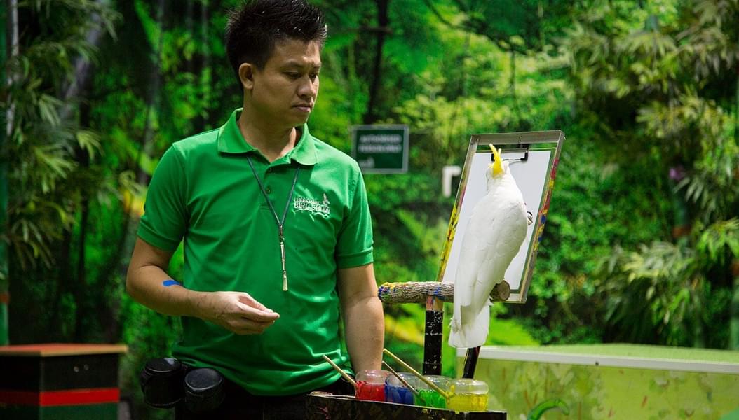 Witness the Bird's painting at the incredible bird show
