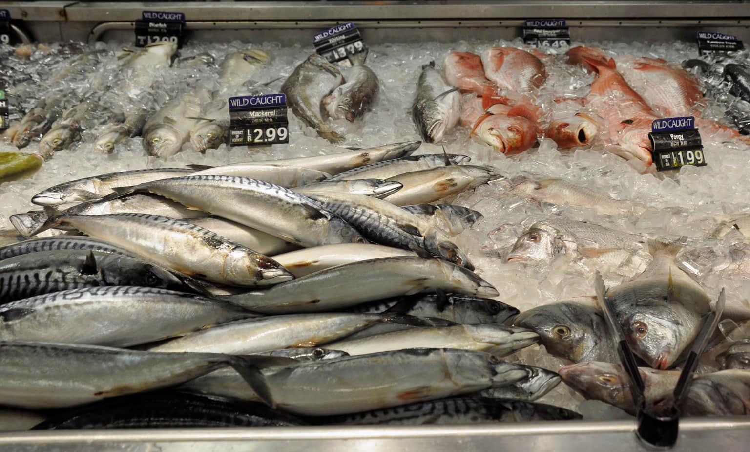Naklua Fish Market, <em>Pattaya</em>