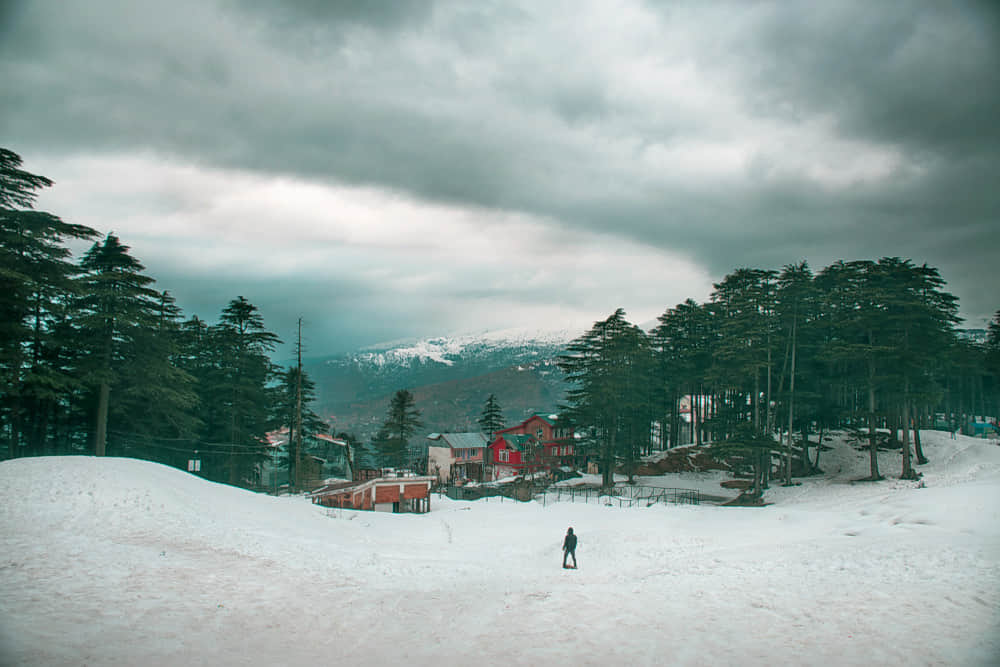 Patnitop, <em>Jammu and Kashmir</em>