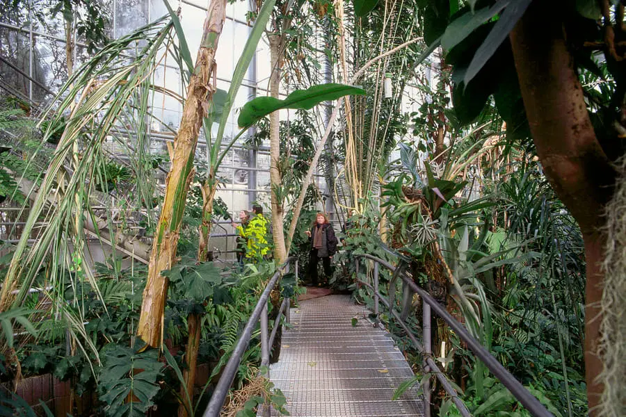 Hortus Botanicus