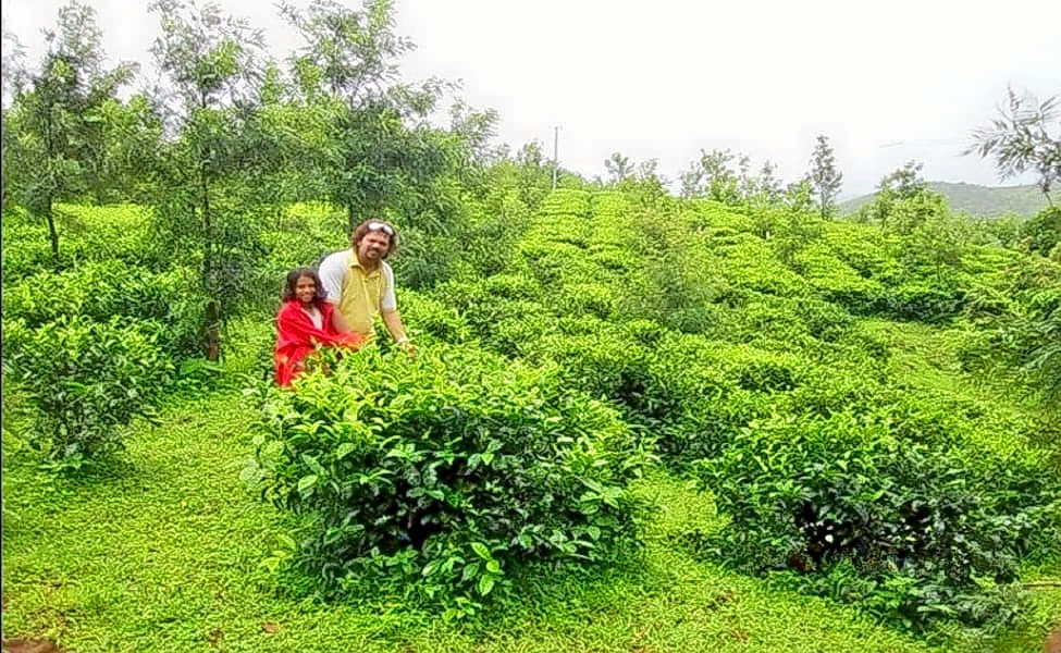 Pawankhind Resort Image