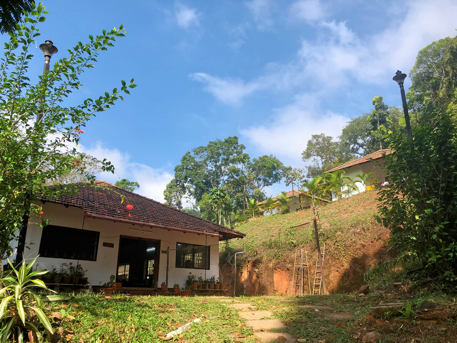 Photo from reena reena's trip
