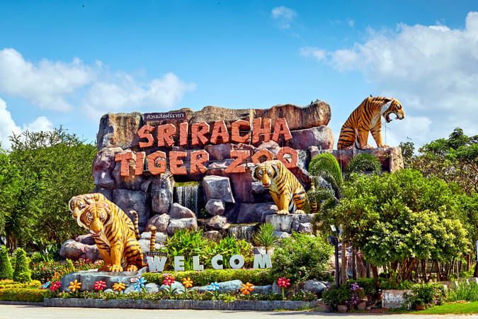 Sriracha Tiger Zoo