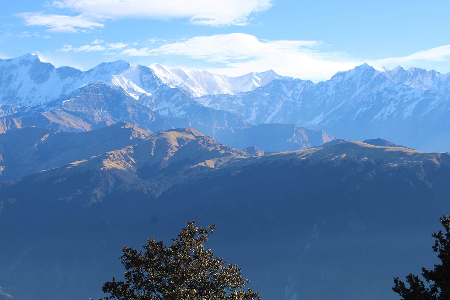 Photo from Bharat  Verma's trip