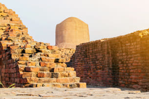 55zek0b7qk5tk1yuqvb70bg9g4f7 1591338833 shutterstock 1043881033