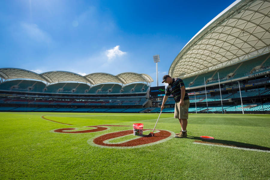 Adelaide Oval Tour Image
