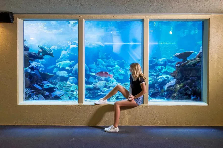 Aquariums in Australia