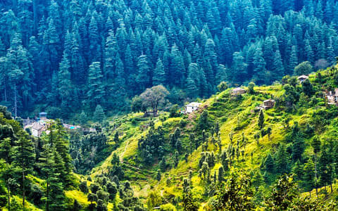 Best Places To Stay in Ranikhet