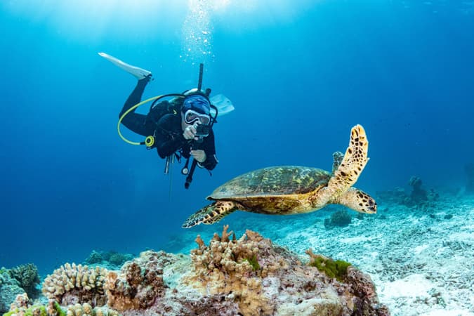 57rk6mmjeguzm0qmo1cpguo7c3zv meie7tuz1zqsvs5j7wspf3cfp9f9 shutterstock 2303138149%20(1)