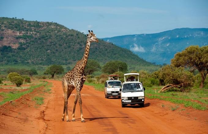 Tsavo-National-Park.jpg