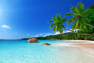 57w8cpdud6f1kuanh2eeug3nmttg 608