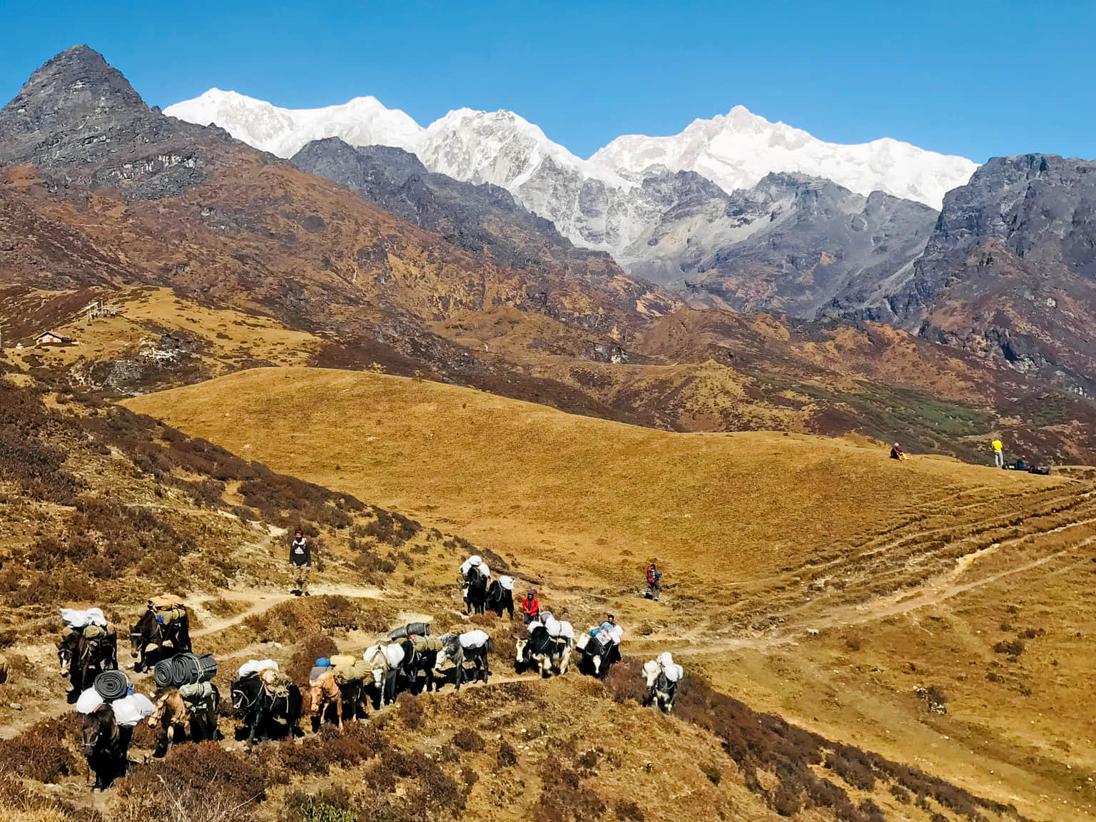 Photo from Rajesh Sharma's trip