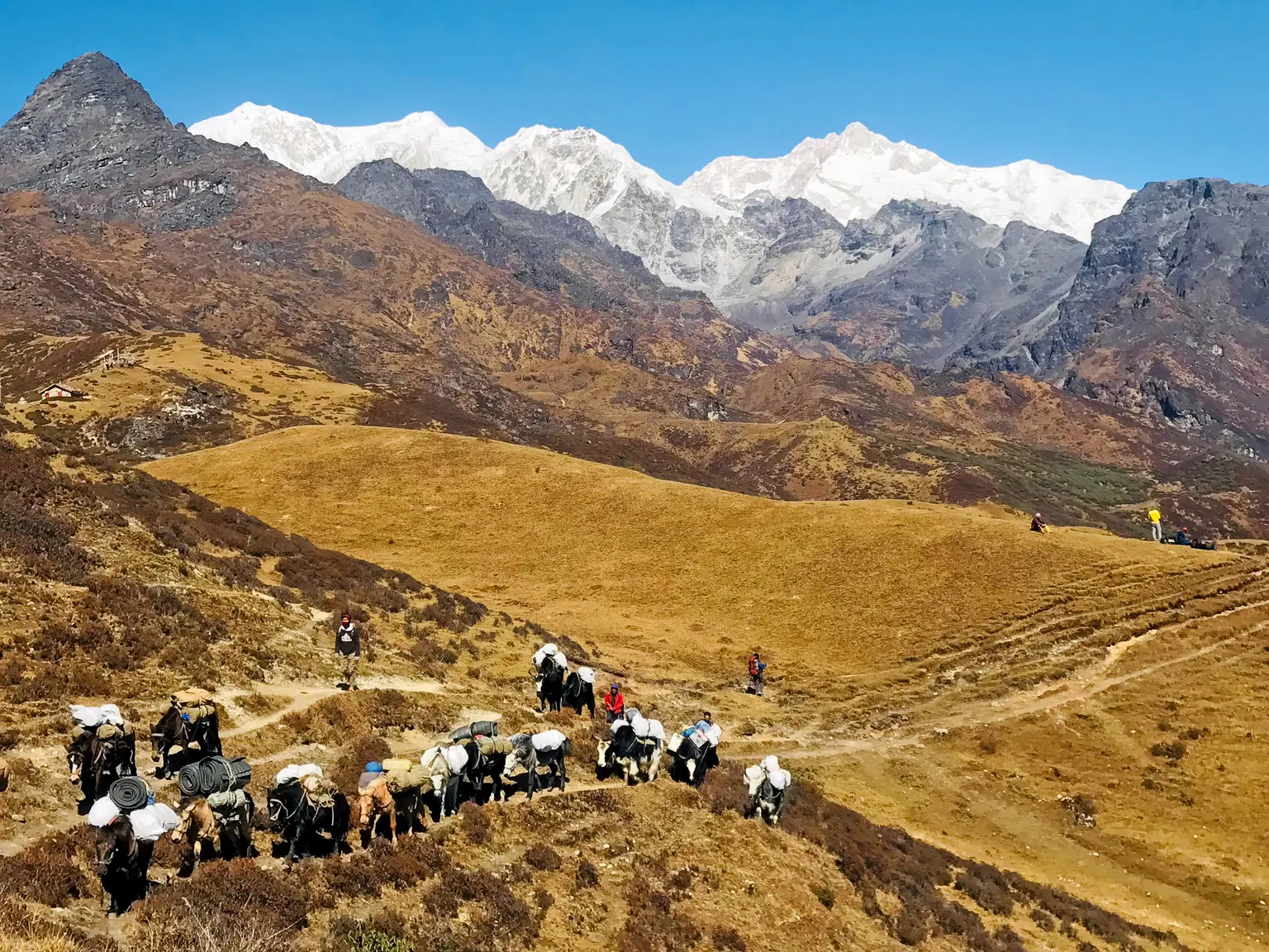 Photo from Rajesh Sharma's trip