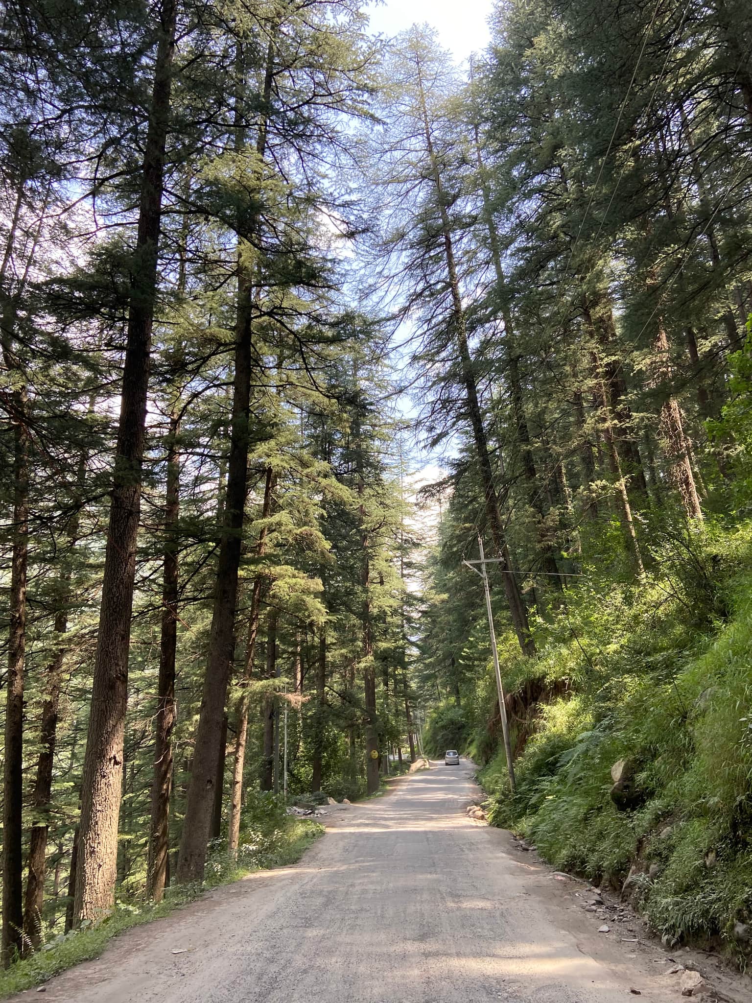 Photo from Monicaa  sharen 's trip