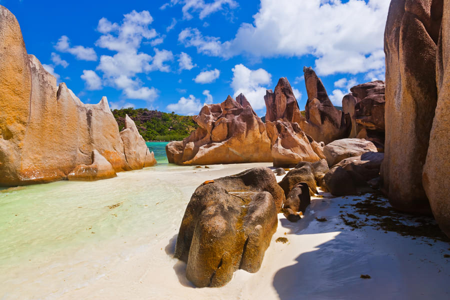 Seychelles and South Africa Tour Package Image
