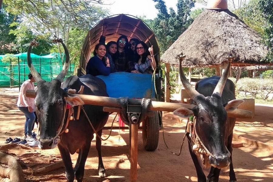 Jain Farms Bangalore Day Out Image
