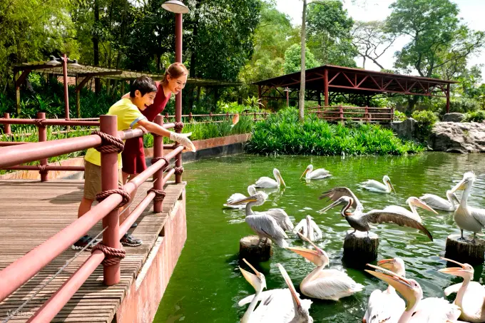 bird paradise