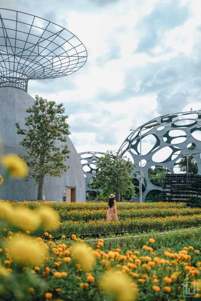 Flower Land Pattaya Tickets Image