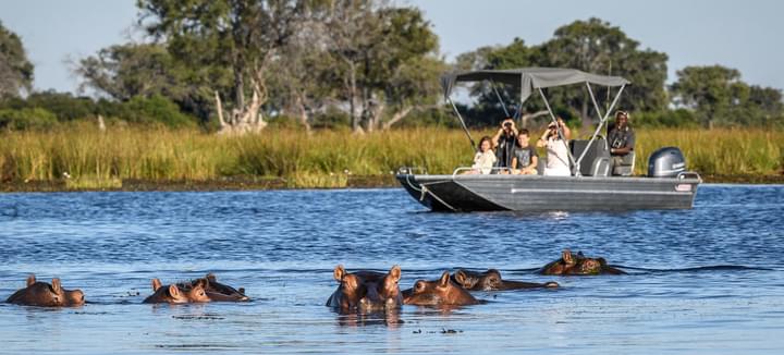 Okavango Delta Boat Safari.jpg