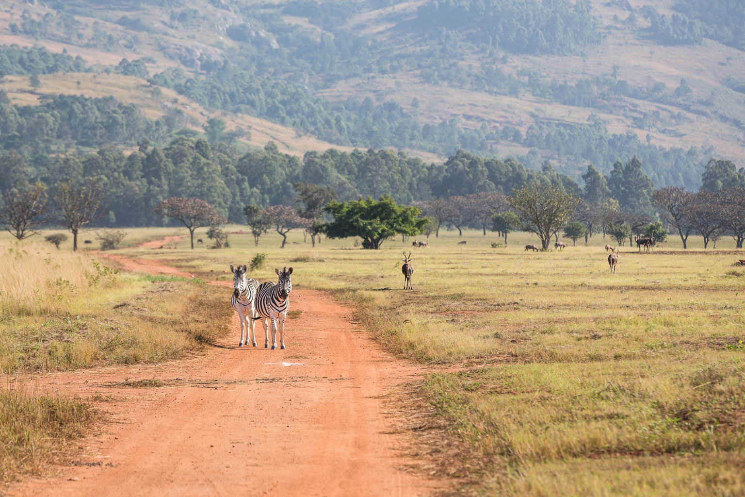 Explore Kakaijana Wildlife Sanctuary
