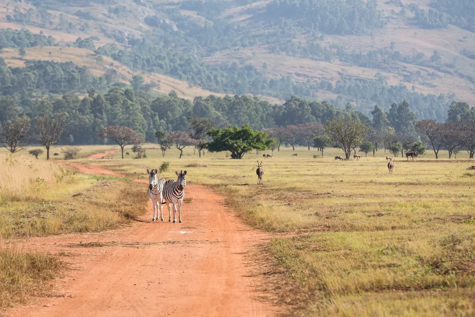Explore Kakaijana Wildlife Sanctuary
