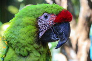 59z9zp1sree53f1t4bucs6fm46p1 39765117004 e4f721af01 k